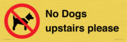 no-dogs-upstairs-please-~